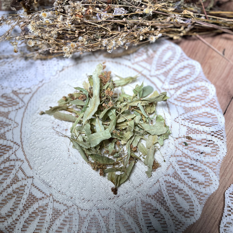 Lipa - kwiat lipy suszony, na przeziębienie, ból gardła, kaszel, astmę