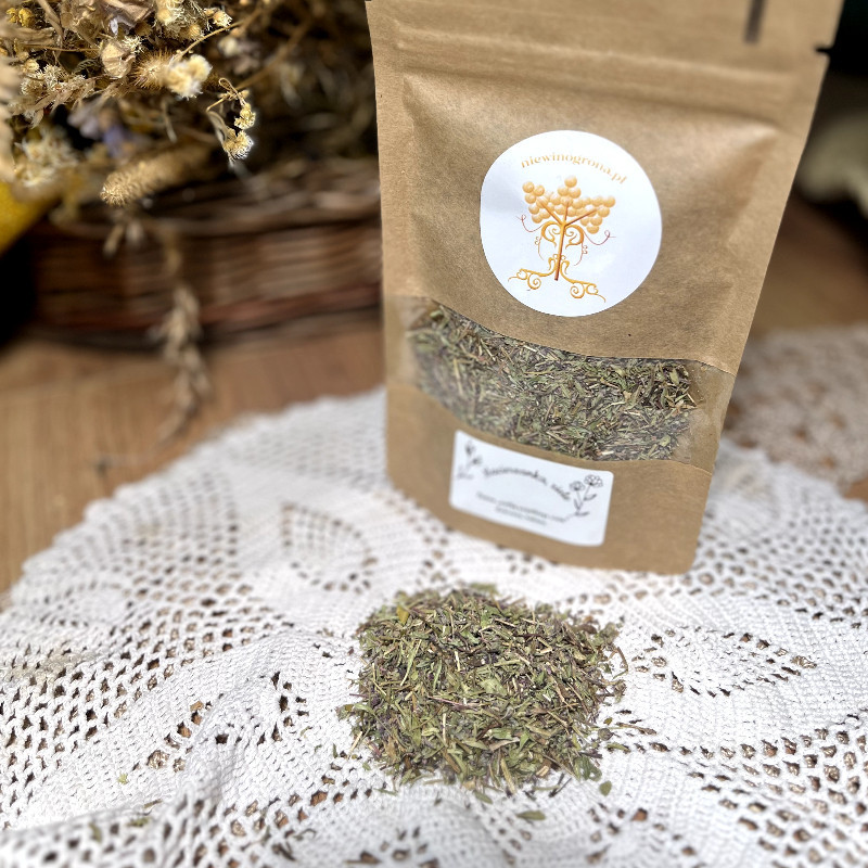 Macierzanka suszona, ziele na ból głowy, nerwowość i stres