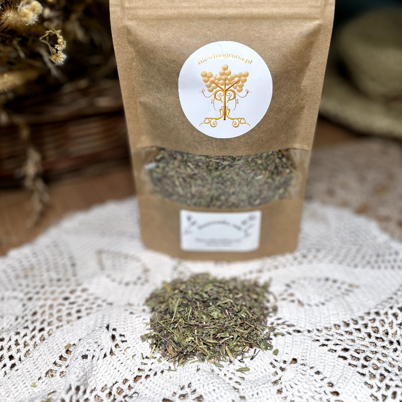 Macierzanka suszona, ziele na ból głowy, nerwowość i stres