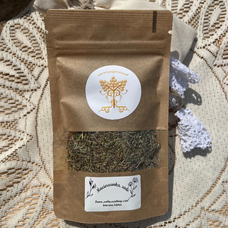 Macierzanka suszona, ziele na ból głowy, nerwowość i stres