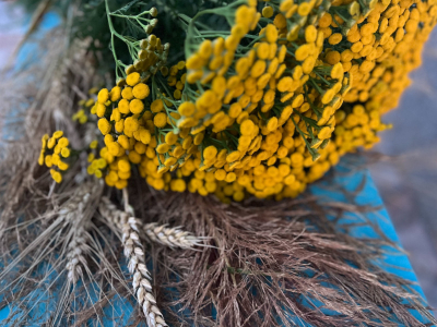 W zgodzie z naturą i ze sobą